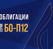 Группа «ВИС» успешно завершила размещение облигаций серии БО-П12  
